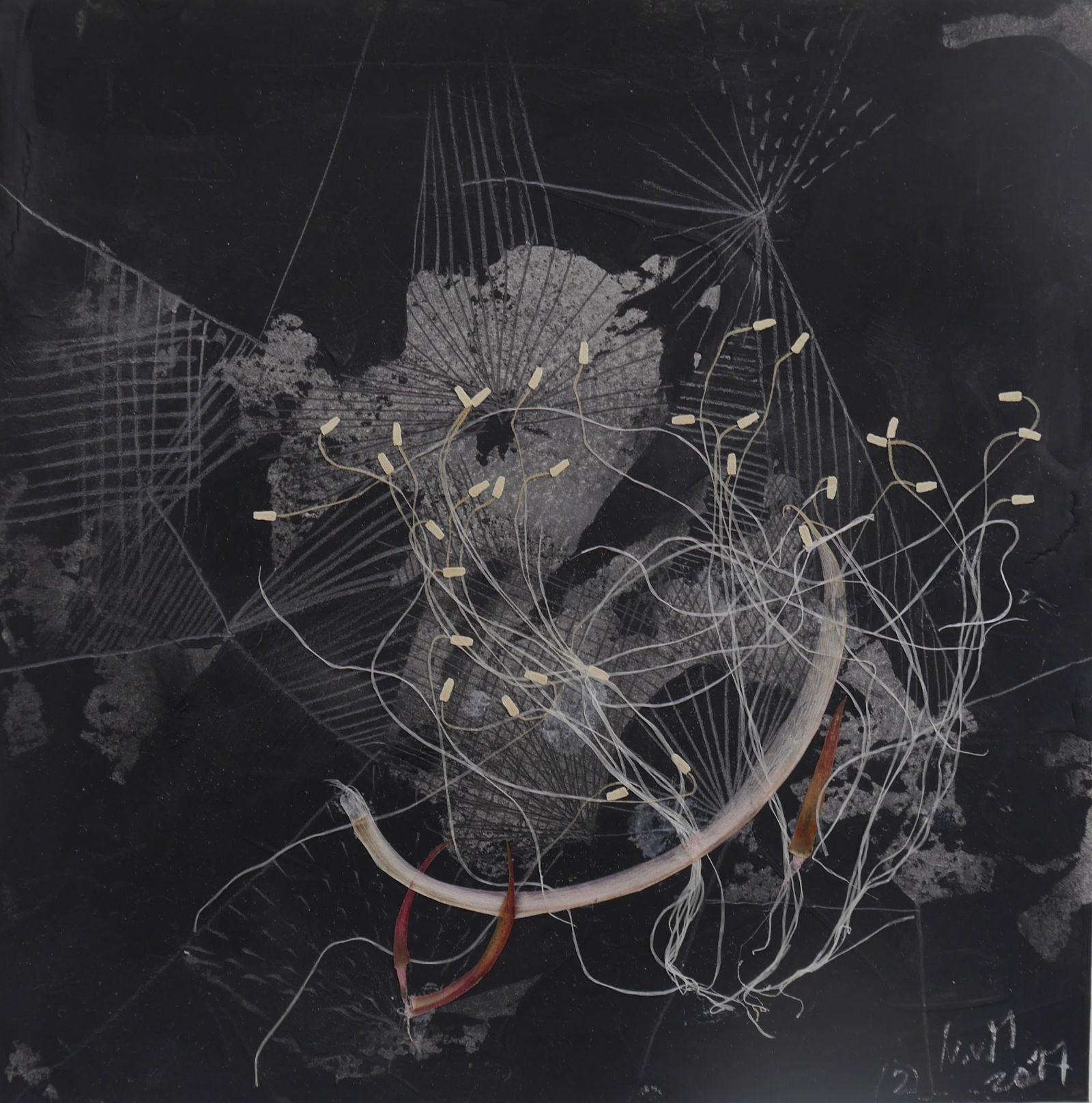 K.d.N.-Serie-2Collage15x15-2017